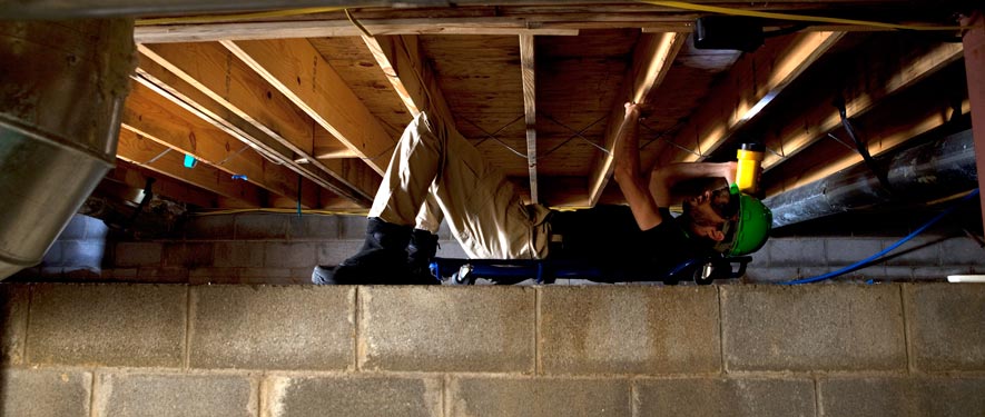 Hilltown Township, PA mold removal
